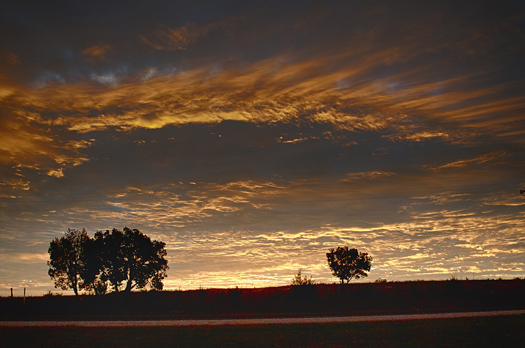 Texas Sunrise