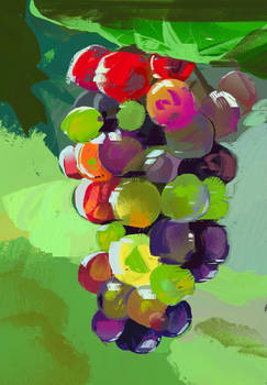 grape study