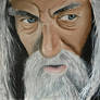 Gandalf the Grey