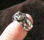 Tiny otters ring