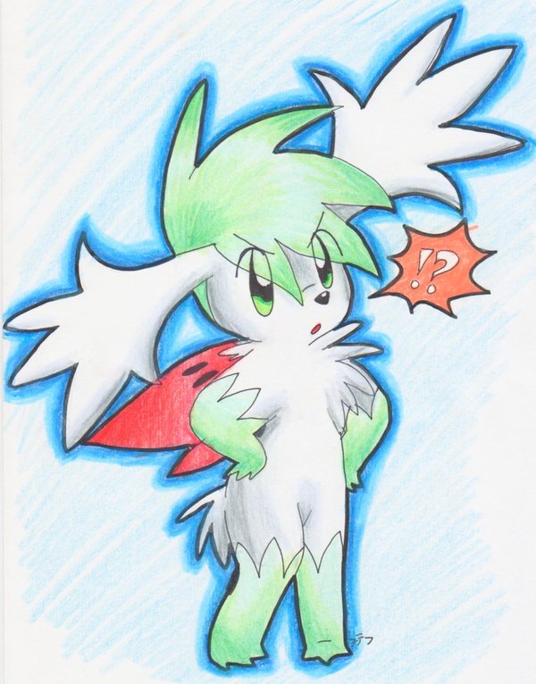 Shaymin-Excuse me?