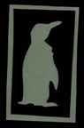 Penguin Silhouette