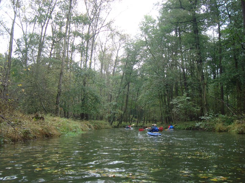 Spreewald