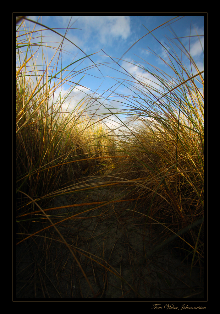 Tunnel of Straw