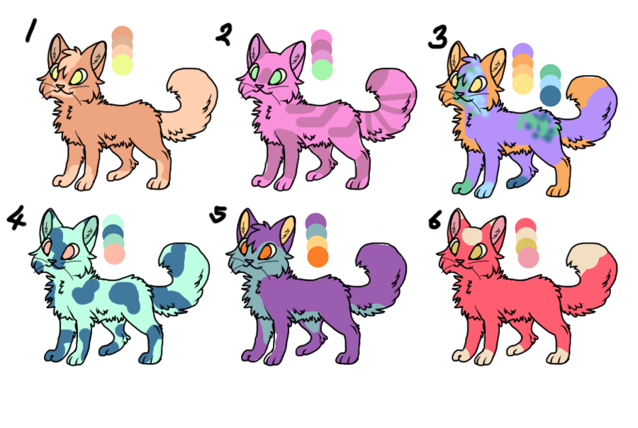 Five Point Cat Adoptables