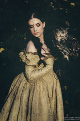 The lady and the owl
