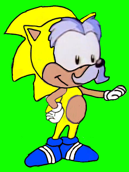 Shawn the Hedgehog (Megan's father) by LoyalCenaGirl on DeviantArt