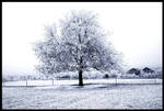A Winter Illusion by LastAutumnShade
