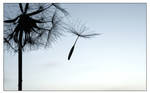 .sail of a windmill. by LastAutumnShade