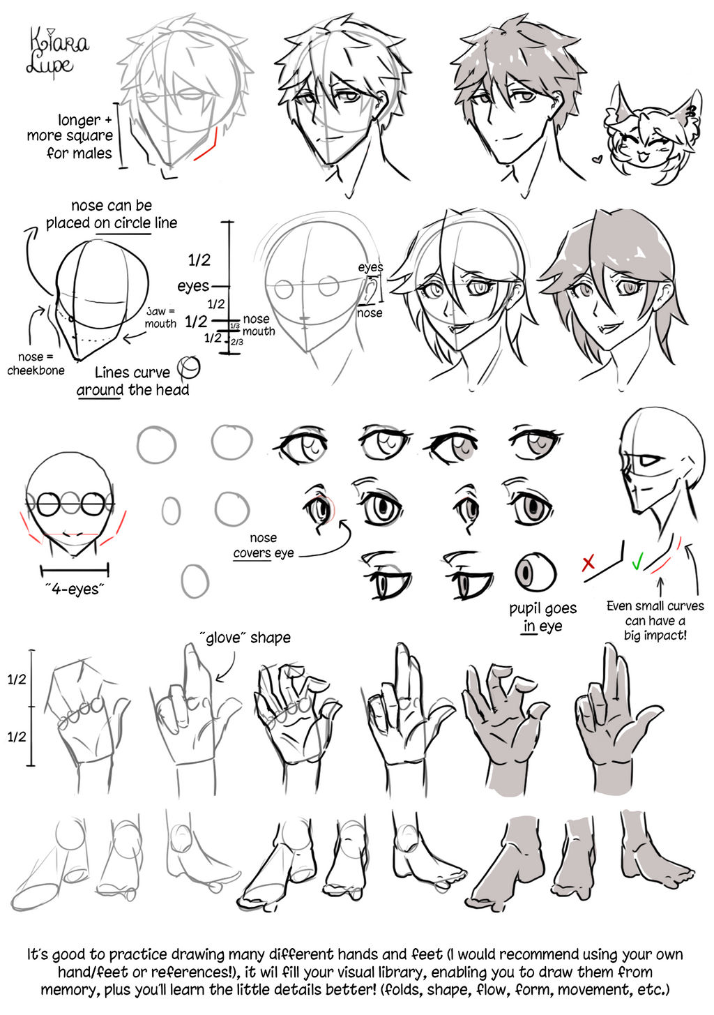 Learn Manga: How to draw the female head front by Naschi on DeviantArt