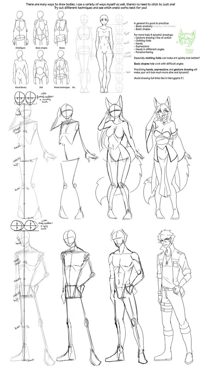 Body Drawing Ase Body Drawing Tutorial by Kiara-Lupe on DeviantArt