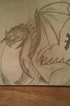 Drawn Dragons