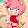 Amy Rose (Red swimsuit)