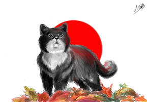 cat Japan