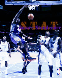 Amare Stoudemire - S.T.A.T