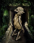 dobby by frikibunny8