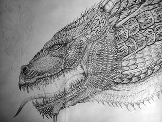 Another Dragon :)