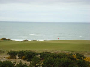 Pacific Dunes 2