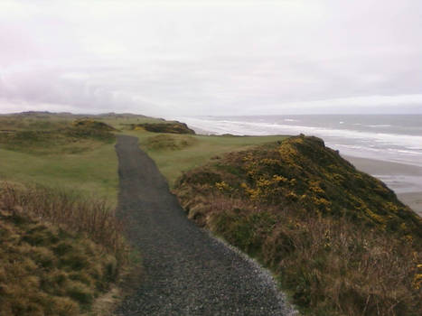 Pacific Dunes 4