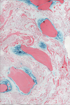 Marbling 8 by Harl0w-l0w
