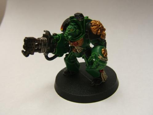 Salamanders Terminator