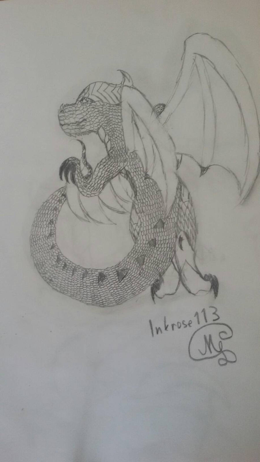 Basic dragon by Inkrose113 on DeviantArt