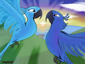 Dreamworks Rio Deviantart Explore the Best Rio Art | DeviantArt