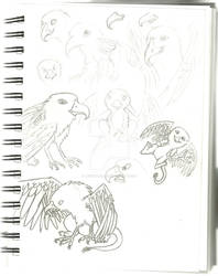 Gryphon Sketch page