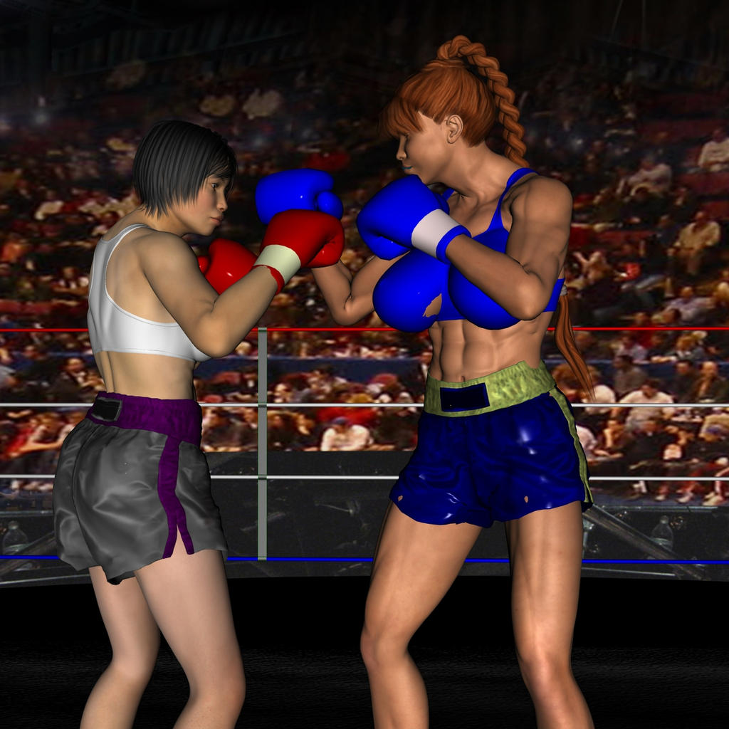 3D Female Boxing on FemaleBoxing DeviantArt