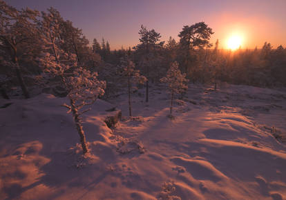 Ounasvaara, Rovaniemi, Lapland