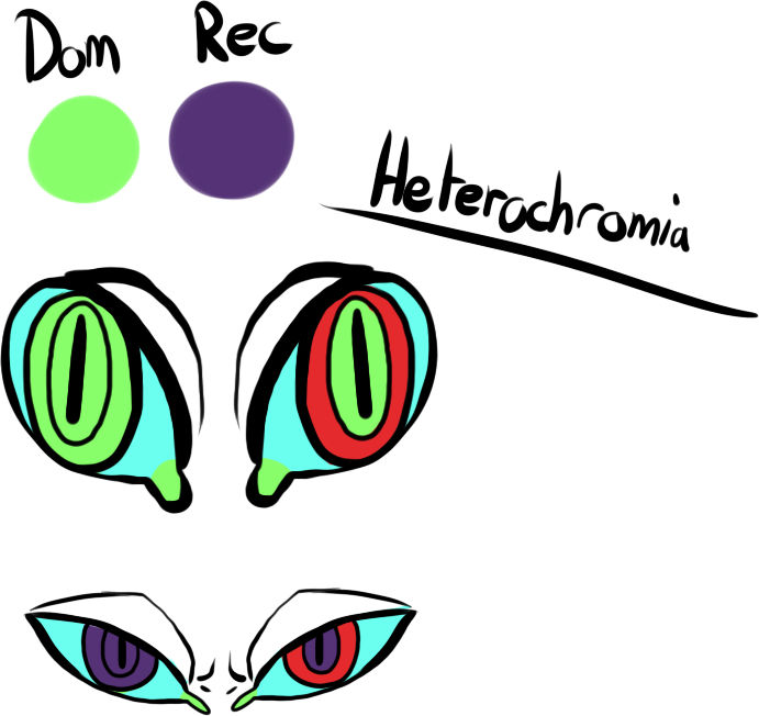 Heterchromia Grem by MrGremble Heterchromia Grem by MrGremble