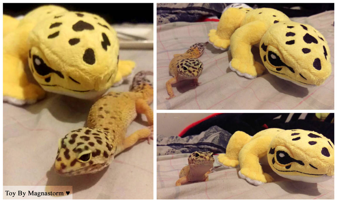 Magnastor Benan Gecko Toy By Magnastorm by MrGremble on DeviantArt