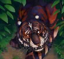 Tigersona in Forest