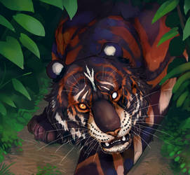 Tigersona in Forest