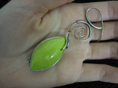 enameled locket 1