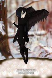 The Raven Faerie