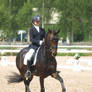 pony mare dressage 2