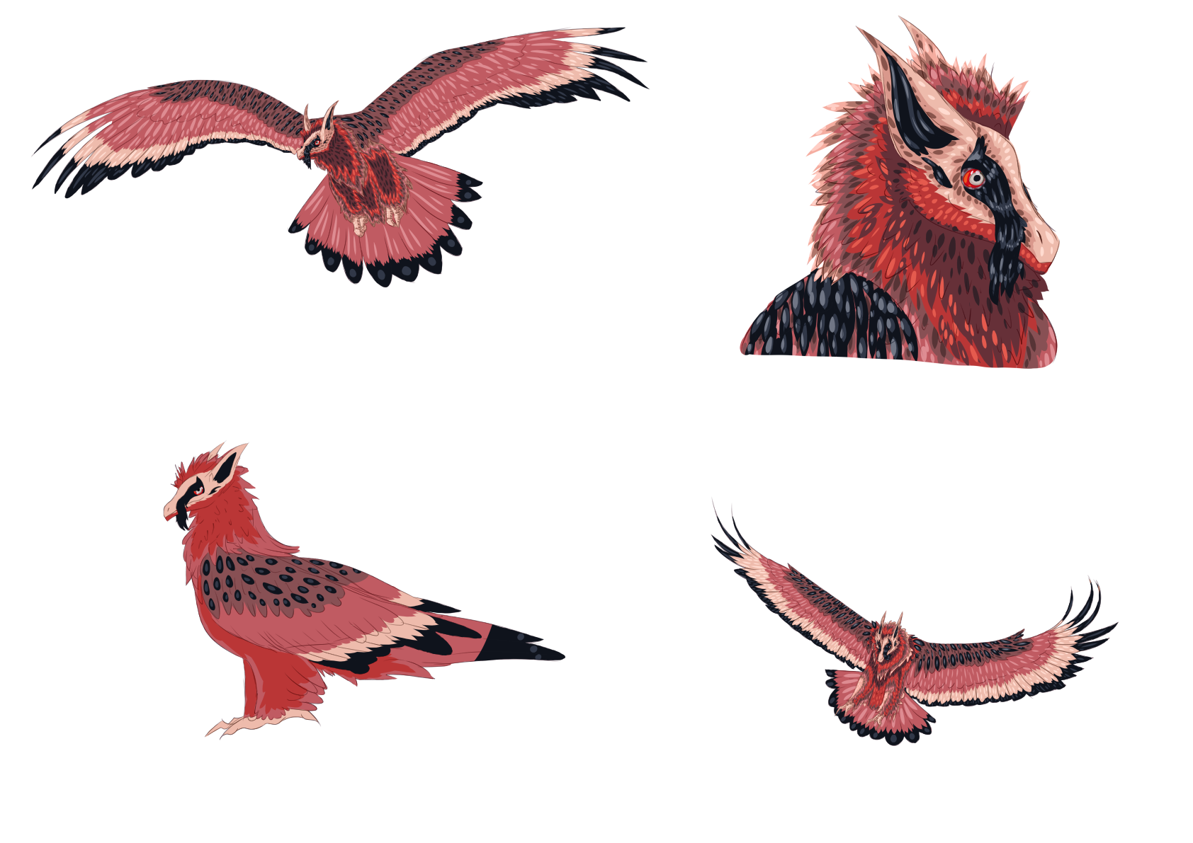 Hunter MYO