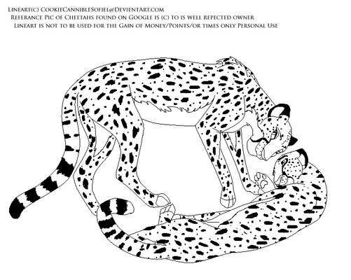 Cheetah Lineart