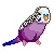 Purple Budgie Emoticion