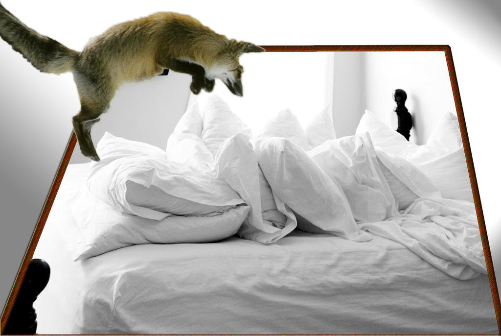 Comfy Fox by Borderofsnow on DeviantArt