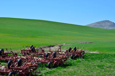 Palouse