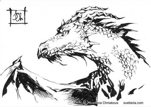 Sketchblog001 Dragon