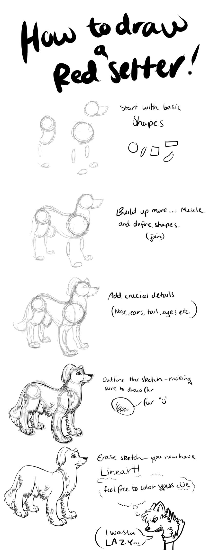 Setter Drawing Easy How to draw a red setter dog in my style by Howling-Okami on DeviantArt
