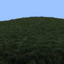 Rendered Grass