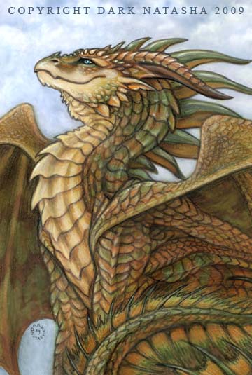 Bronze Dragon