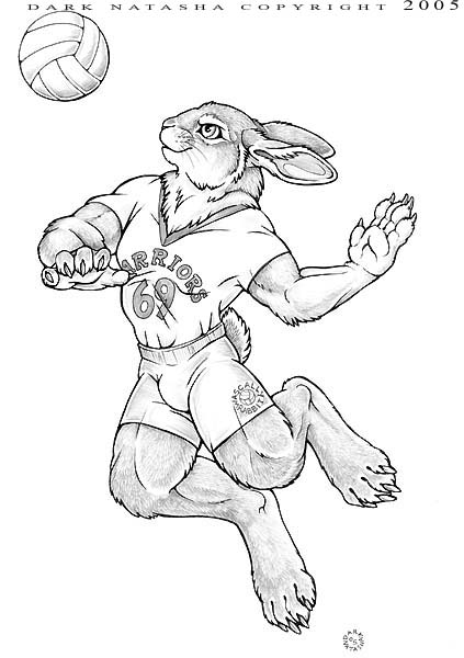 Volleyball Bunny