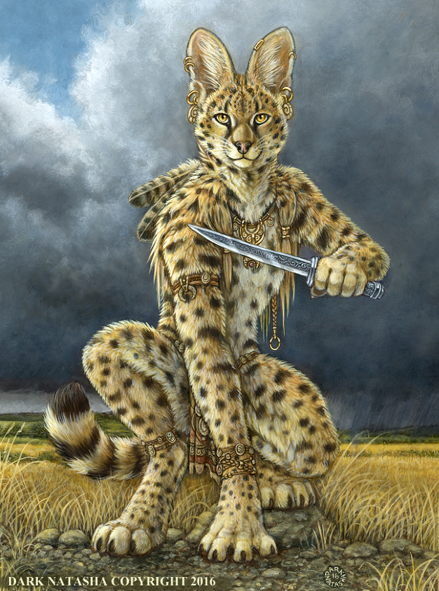 Heart Of A Warrior