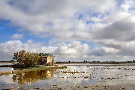 Delta del Ebro