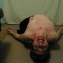 Wookiestock: Head over heels:2